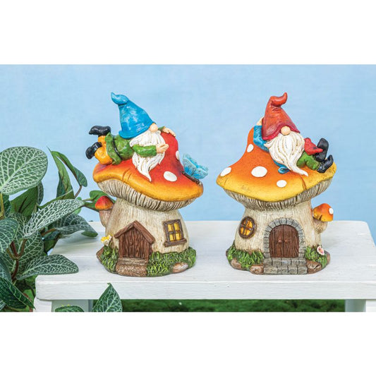 MUSHROOM NAPPER GNOMES 2 ASST