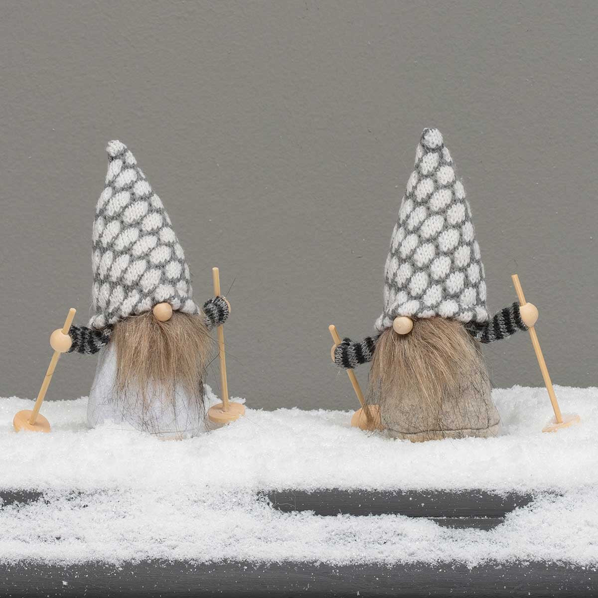 Slalom The Ski Gnome & His Buddy Shred